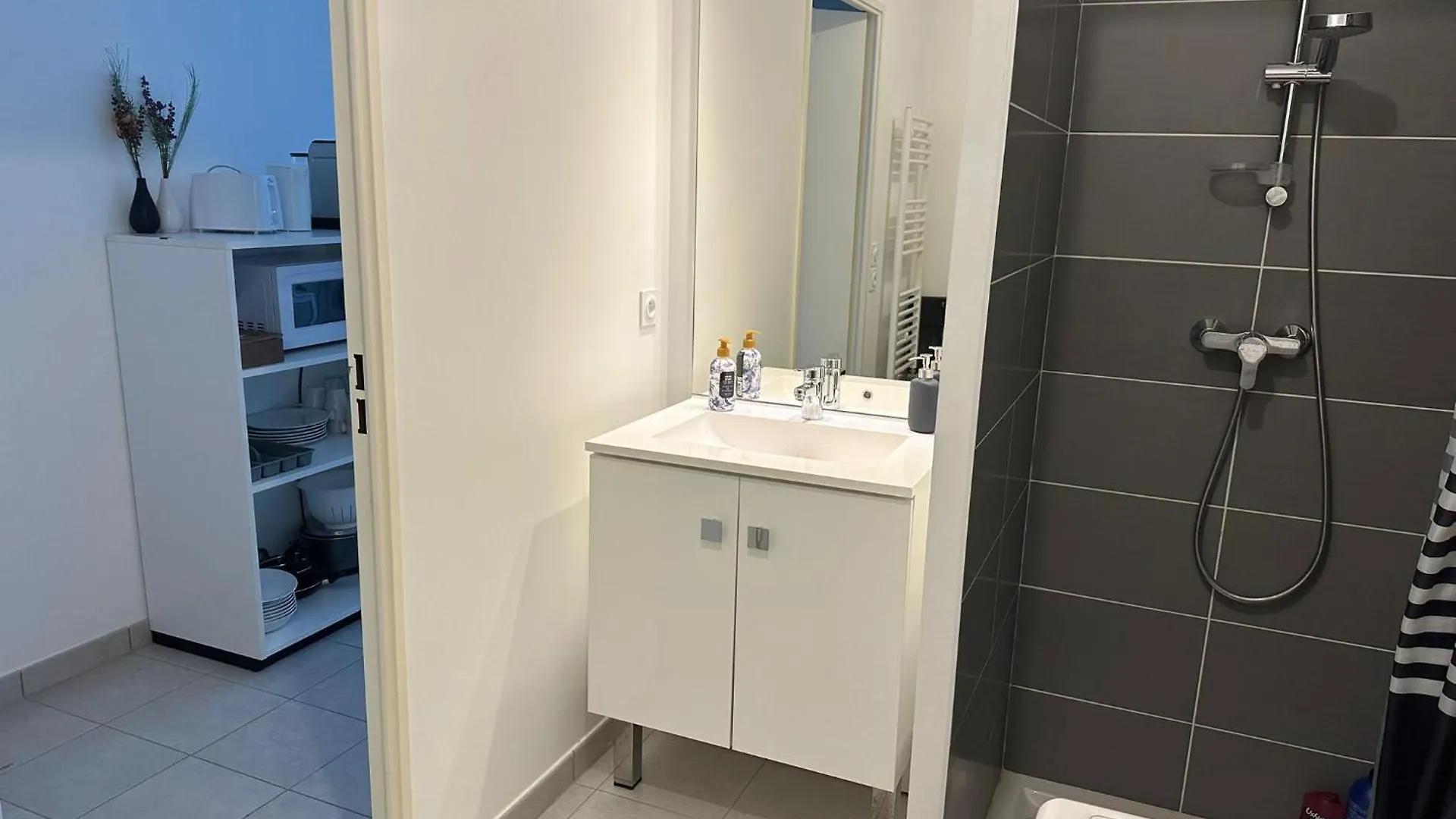Studio De Confort Lyon Apartment